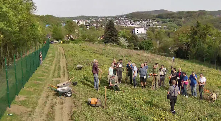 Der Bau der Freiflächenanlage 1 hat begonnen. Der Zaun ist montiert.