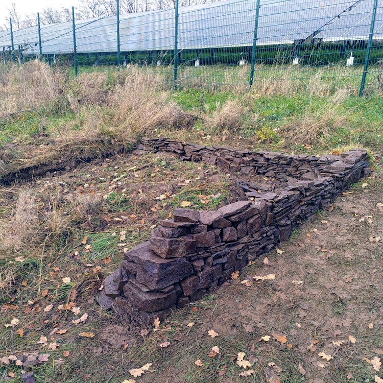 Iserlohner-innen bauen ein Kleintierrefugium an der Solarfreiflächenanlge